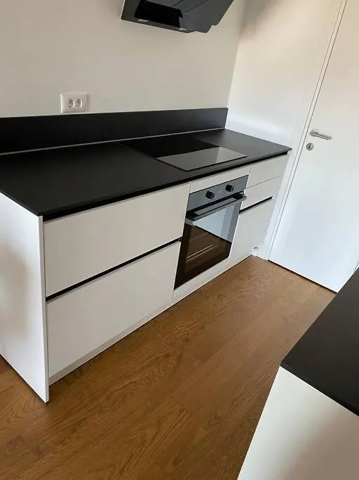 Apartment With Sea View Between Opatija And Rijeka